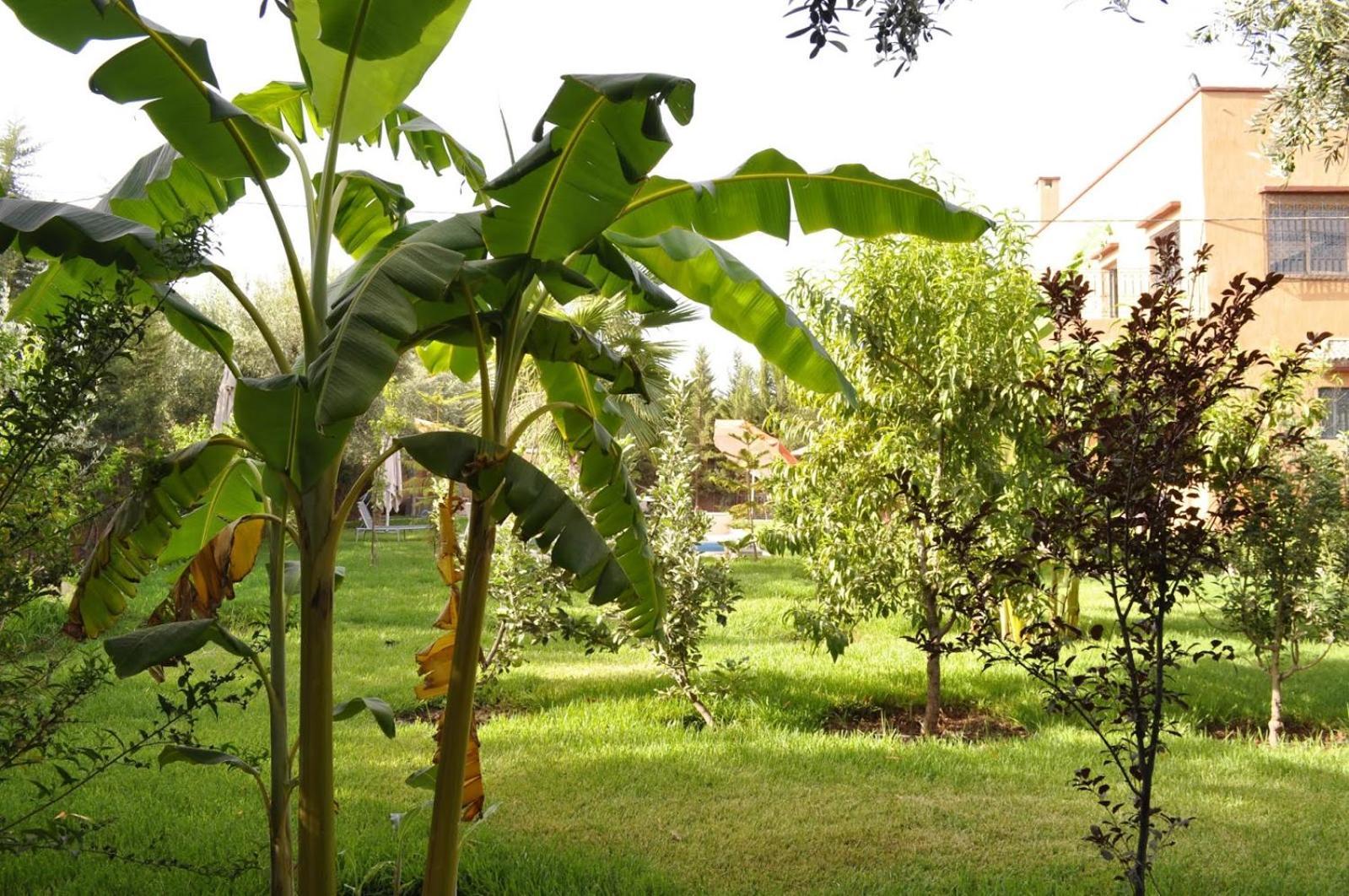 Ilafe Farmhouse, Avec Piscine Chauffée Privée Et Jacuzzi Pour Familles * Marrakesh